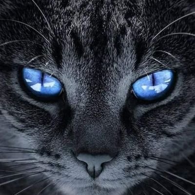 fx65_HARUN's profile picture. 