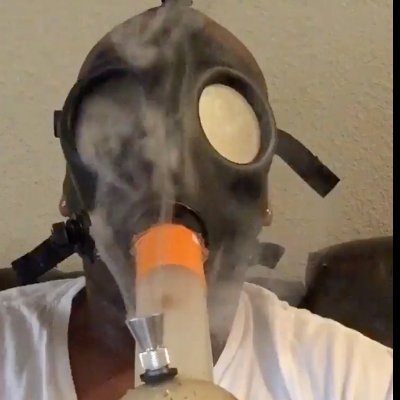 DyNoM19's profile picture. 