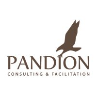 Pandion Consulting & Facilitation(@PandionConsult) 's Twitter Profile Photo
