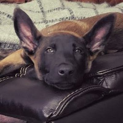 AndreaB74233773's profile picture. 