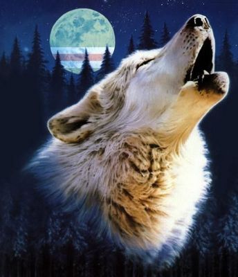 dakota6565's profile picture. я человек политику ненавижу по этому голосую против всех