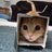 Bigboxtel's profile image