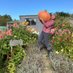 My little Allotment (@allotment9a) Twitter profile photo My little Allotment (@allotment9a) Twitter profile photo