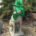 Gary Harper (@garyhar00595842) Twitter profile photo Gary Harper (@garyhar00595842) Twitter profile photo