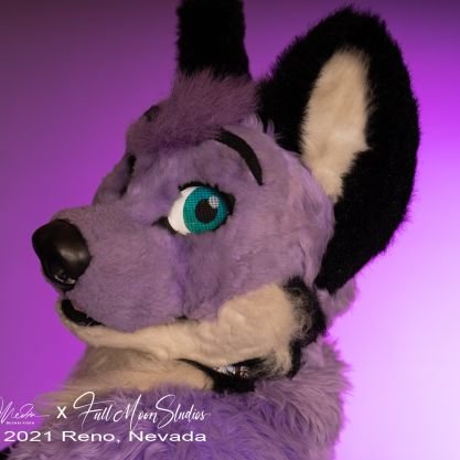 🦊 Your very own purple fox, foxing it up in Seattle. 🦊
🐾 Open, poly, and gay af. Co-owner of FetchNW. Please say hi! 🐾
https://t.co/q0jG3MtLRg