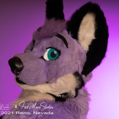 🦊 Your very own purple fox, foxing it up in Seattle. 🦊

🐾 Open, poly, and gay af. Co-owner of FetchNW.  Please say hi! 🐾

https://t.co/q0jG3MtLRg