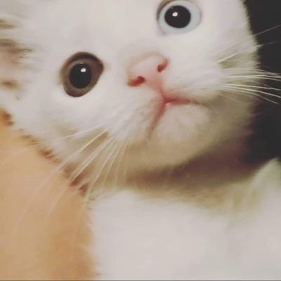selmatnbk's profile picture. 
