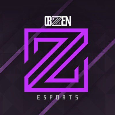 obzen_esports Profile Picture