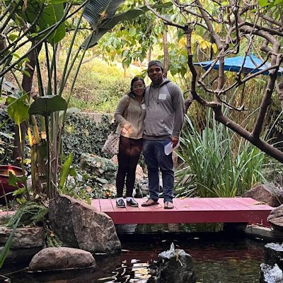 Rockizard's profile picture. 