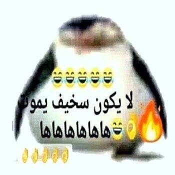 meperdoeeunfui's profile picture. 