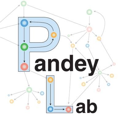 Lab_Pandey Profile Picture