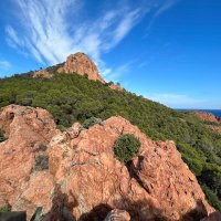 Morgan Wills (@morgan_wills) 's Twitter Profile Photo