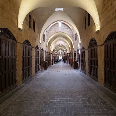 WillTryumph's profile picture. Been in this $ since 18. I'm back!