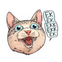 ekekekkekkek(@ekekekkekkek) 's Twitter Profile Photo