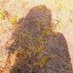 🌿The Wild Prairie (@thewildprairie) Twitter profile photo 🌿The Wild Prairie (@thewildprairie) Twitter profile photo