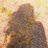TheWildPrairie's profile image