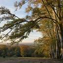 Jonathan Schmidt - @JonathanSchmid6 - Twitter