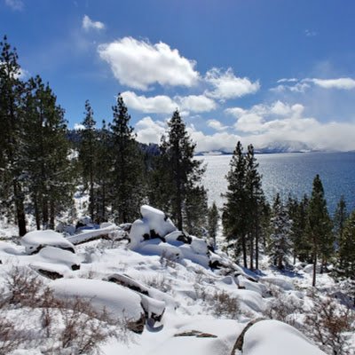 CogitoE95431063's profile picture. 