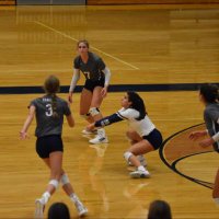 brittan (@brittan_fedyk) 's Twitter Profile