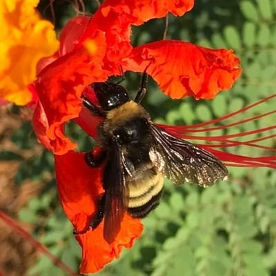 SoniaGarcia4's profile picture. Ai.