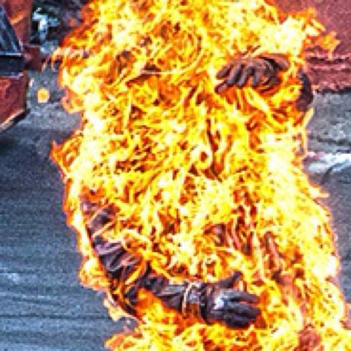 samhogue1973's profile picture. 