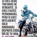 Lupe Vélez - @lupevelezn - Twitter