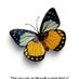 Uppari Janardhan (@upparijanardha1) Twitter profile photo Uppari Janardhan (@upparijanardha1) Twitter profile photo