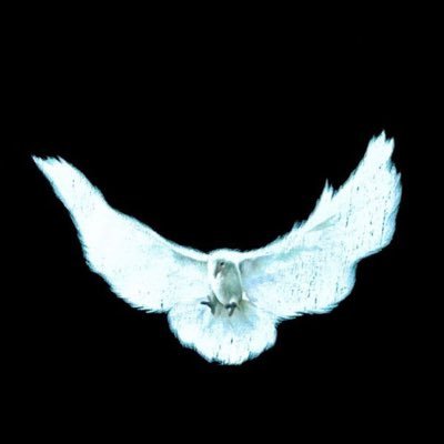 Thelifeofye7210's profile picture. 