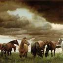 Logan - @LoganRay10 - Twitter