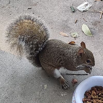 ST PETE MOMMA π π§ Sunshine & Sarcasm Profile