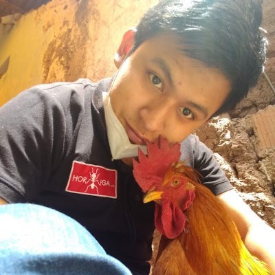 ElvisAldairAna2's profile picture. Developer 👽