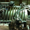 Madison Adam - @MadisonAdam - Twitter