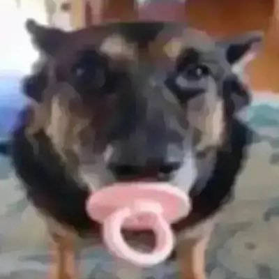 SndBalls's profile picture. Idk