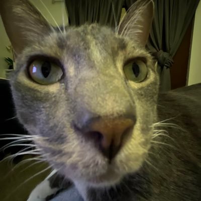 lexijwarren's profile picture. 