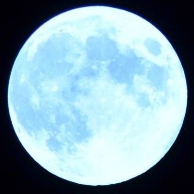 hallelujahliz's profile picture. 