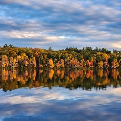 gnvbnd13's profile picture. 2 yrs new to mining and loving it.