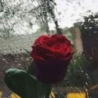 Youmi jordan (@youm_youmi) Twitter profile photo