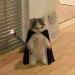 SharkDC2's profile picture. 