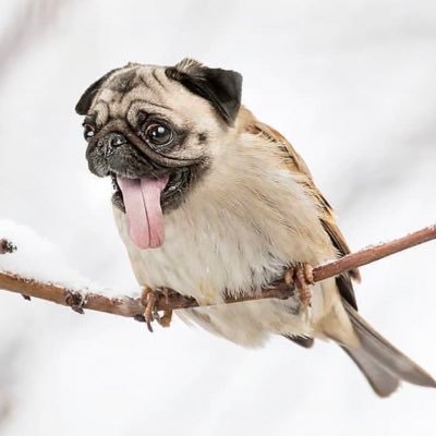 bombercrypto22's profile picture.