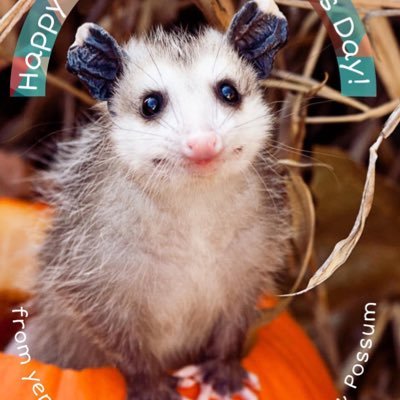 donopolis's profile picture. he/him/his,Father, Reader, Philosopher, Poet, Awesome Personified