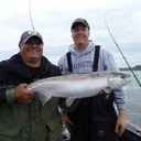 Steve Ng - @FishNg1 - Twitter