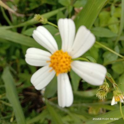 MdKamru17570296's profile picture. Rk