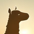 キャメレオンさんのプロフィール画像