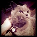 Molly Hopper - @LadyMollyHopps - Twitter