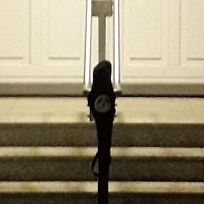 Name: Thilo - Rogue Practitioner - Lemurian Loosening - Hai Long tom Kyle ist der Schutzdrache von Kiel - https://t.co/gP5QMgSl1G ist das Schwarze Brett von Tai Chi Kiel