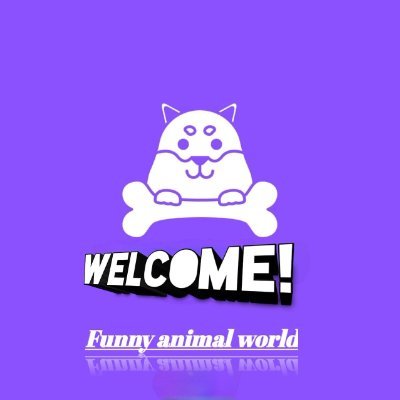 ABOUT US:
Hello and welcome to our channel!
Our company produces for you unforgettable emotions ;-)
Be the first to participate in the funny animal world