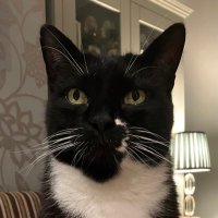 Graham PETER Smith (@grahampetersmi3) 's Twitter Profile