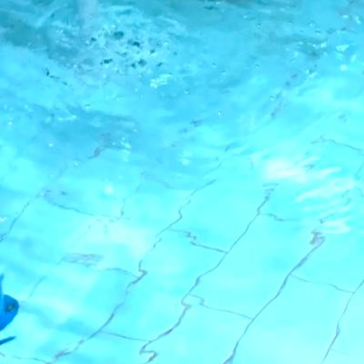 TheLogoCentre's profile picture. 