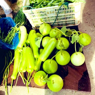 BruceGu0717's profile picture. 