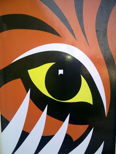 tigerturf_spain's profile picture. Somos una multinacional y nos dedicamos a la fabricación, venta e instalación de cesped artificial tanto campos deportivos, residencial o publico